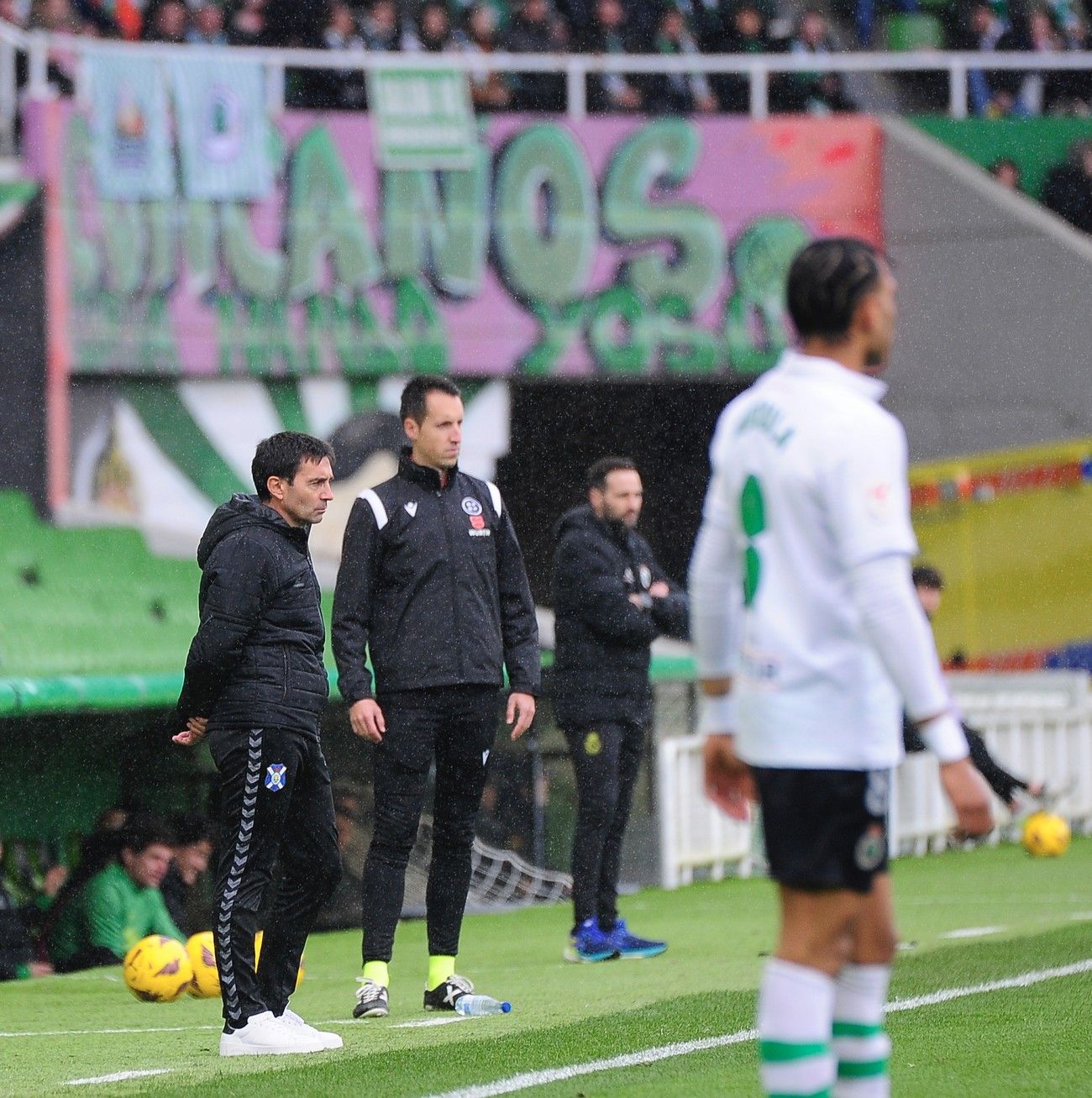 El Racing de Santander-CD Tenerife, en imágenes