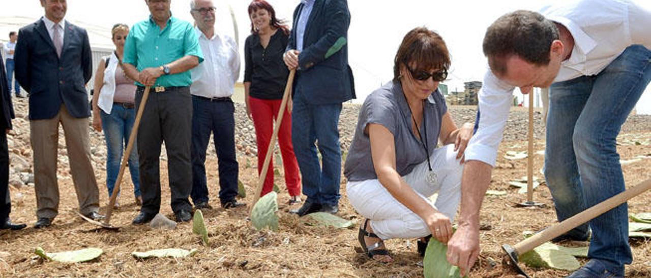 Óscar Hernández y Dunia González plantan tuneras junto al presidente Antonio Morales y representantes institucionales