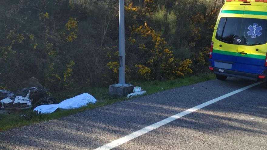 Se trata de la tercera vícitma mortal en carretera en la provincia. // FdV