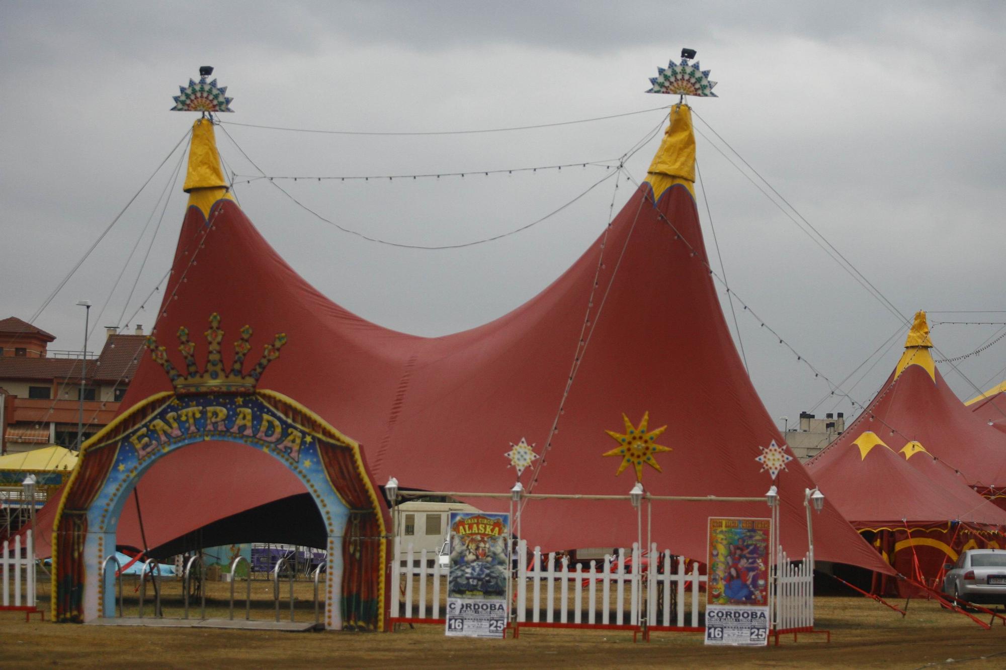 Feria Córdoba 2022 Gran Circo Alaska En La Feria De Córdoba Fechas Pases Precios Y Detalles 3564