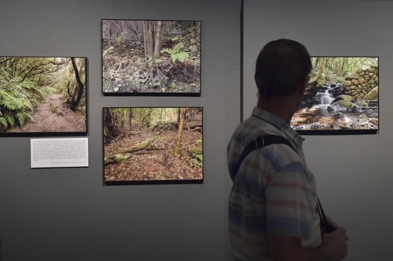 Presentación de libro y exposición sobre la lauris