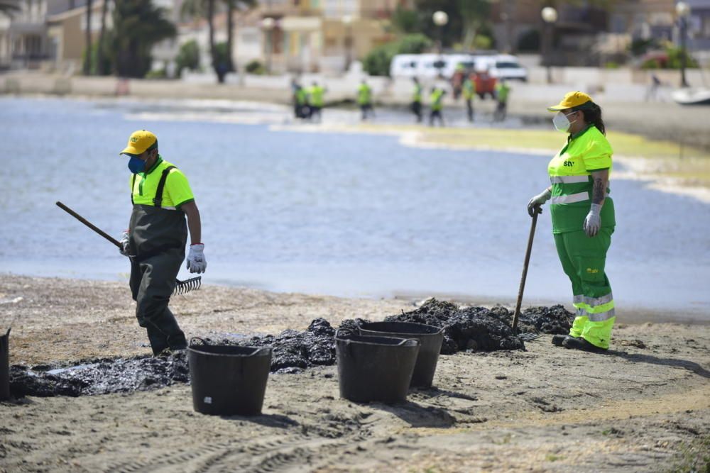 Limpieza del Mar Menor en Los Alcázares