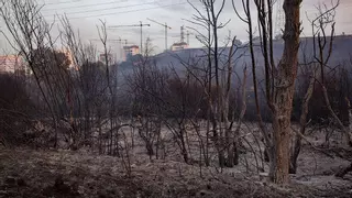 Perimetrado el incendio de Tres Cantos (Madrid), que deja un muerto y cientos de evacuados
