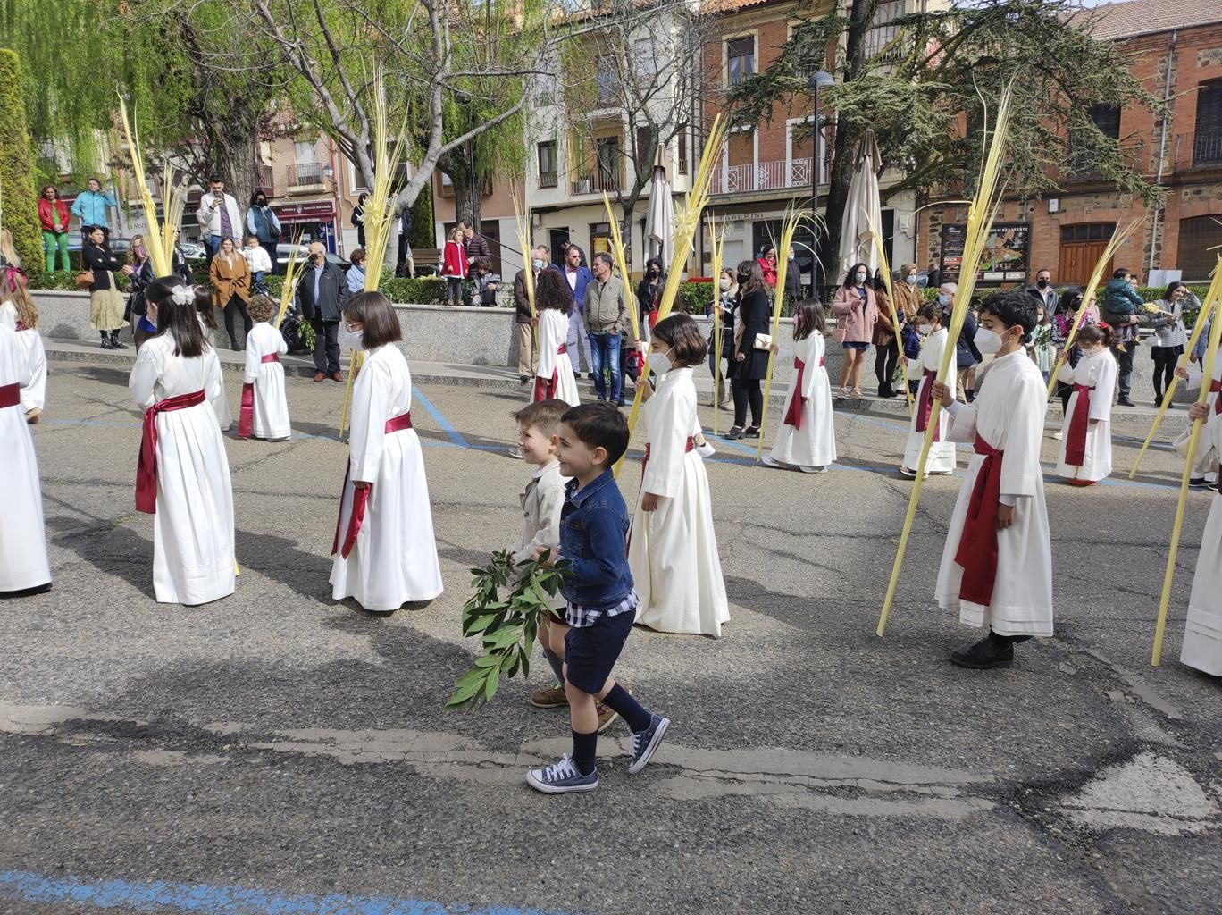 La procesión del Domingo de Ramos en Benavente en imágenes