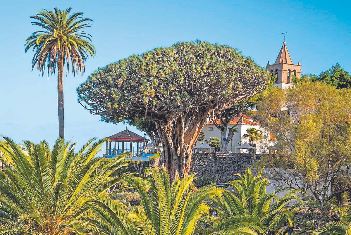 Parque del Drago.