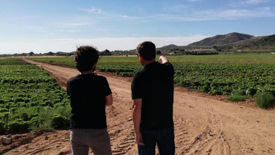 Dos hombres señalan la zona donde se han quedado las lechugas plantadas y sin coger.