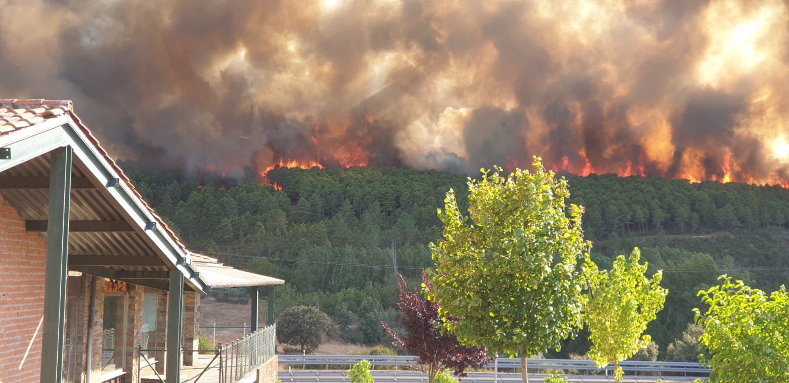 Las espectaculares imágenes del avance del fuego de Trabazos