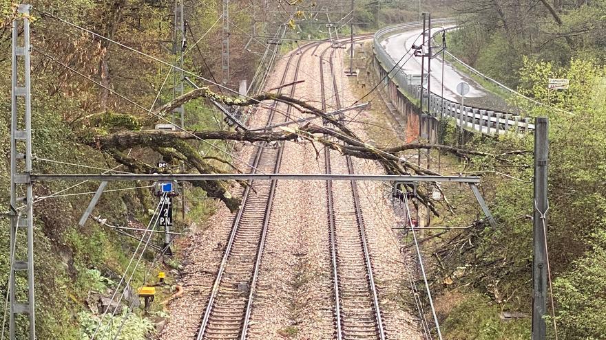 Restablecido el tráfico ferroviario de Feve entre Gijón y Laviana tras retirarse el árbol que cortó la vía en Langreo