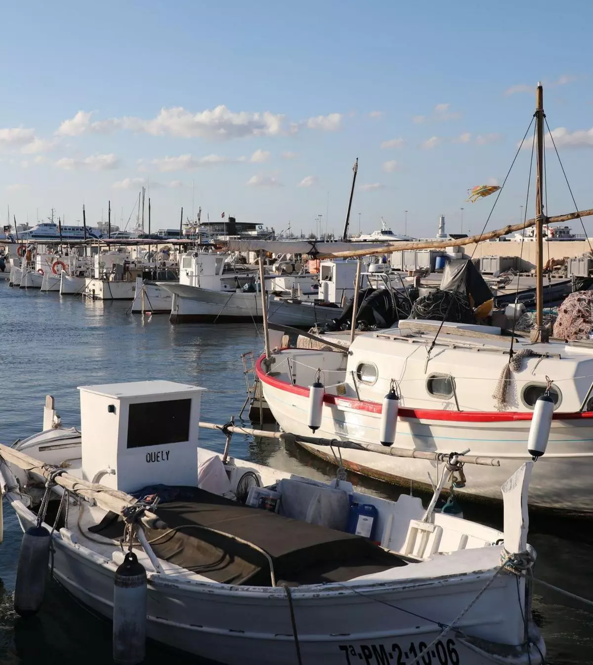 La reserva marina de es Freus de Ibiza y Formentera permite multiplicar por seis la biomasa pesquera