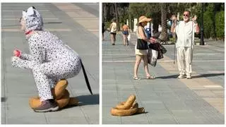 La peculiar campaña que ha lanzado Benicàssim para combatir las cacas de perro en las calles