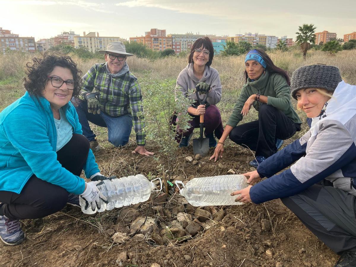 Voluntarios de la plataforma Bosque Urbano Málaga plantan 60 árbolesen los antiguos terrenos de Repsol