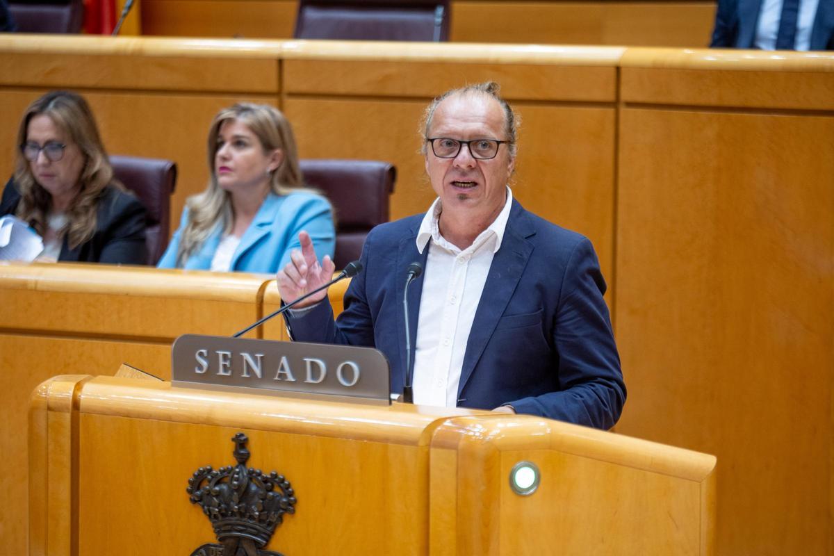 El senador, Juano Ferrer, durante su intervención en el Senado.