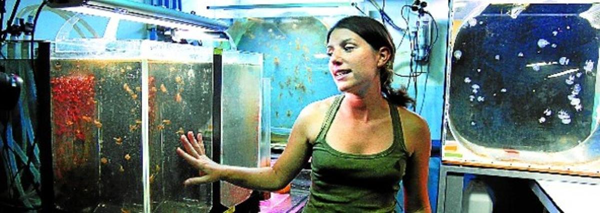 Miriam Gentile, investigadora de l’Institut de Ciències del Mar de Barcelona, mostra uns tancs on es crien meduses, ahir. Miriam Gentile, investigadora de l’Institut de Ciències del Mar de Barcelona, mostra uns tancs on es crien meduses, ahir.