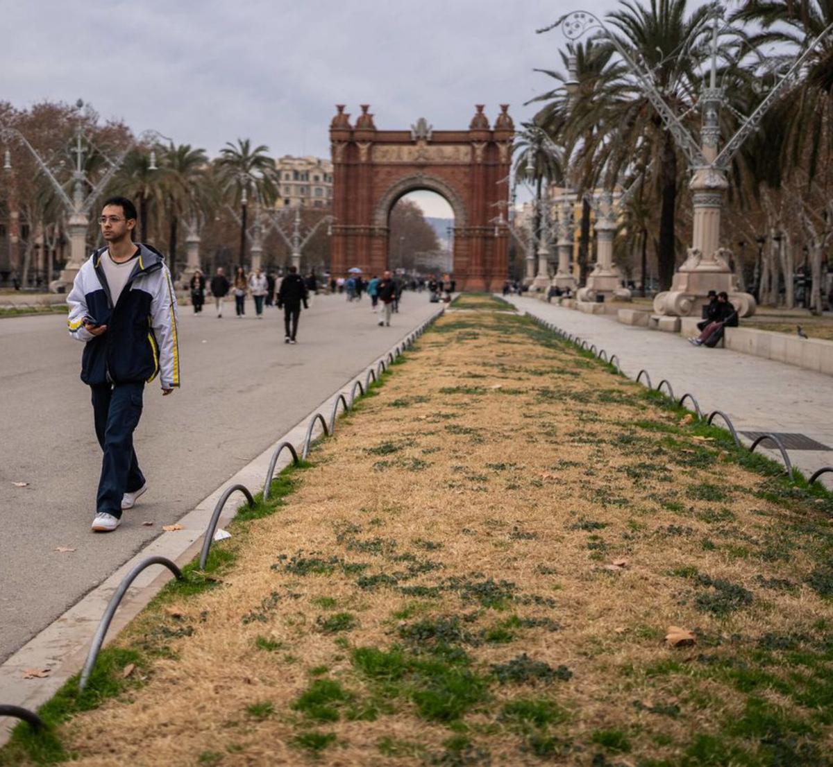 BCN estudia quins parcs salva amb el reg restringit BCN estudia quins parcs salva amb el reg restringit