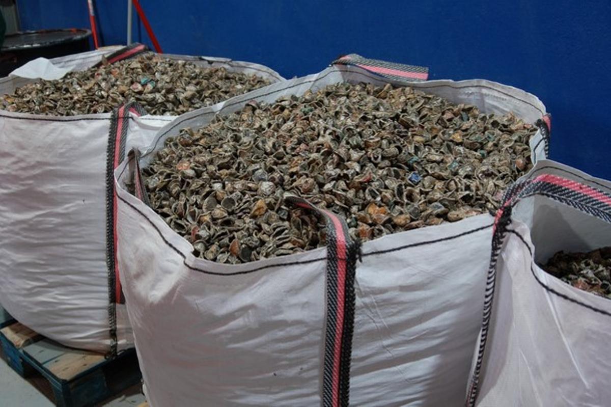 El Complejo Ambiental Costa del Sol recupera las cápsulas de café desde marzo de 2024.