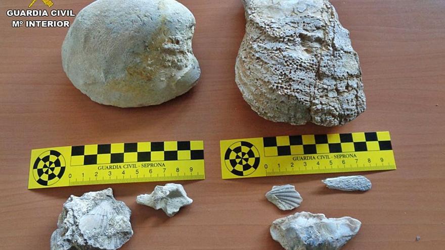 Denunciado por expoliar 19 piezas paleontológicas junto al Pantano de Elche