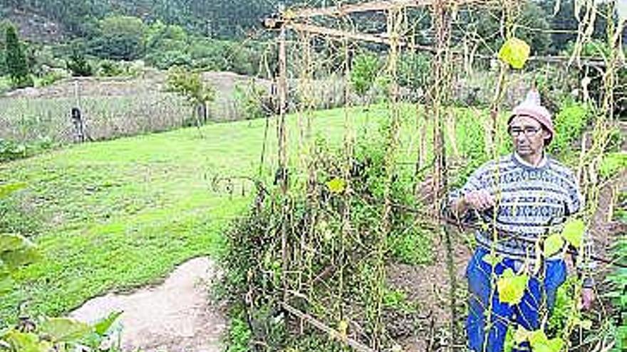 Los terrenos en los que en septiembre comenzarán las obras.