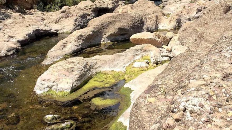 Onda inicia los trabajos de campo en el corredor verde del río Sonella