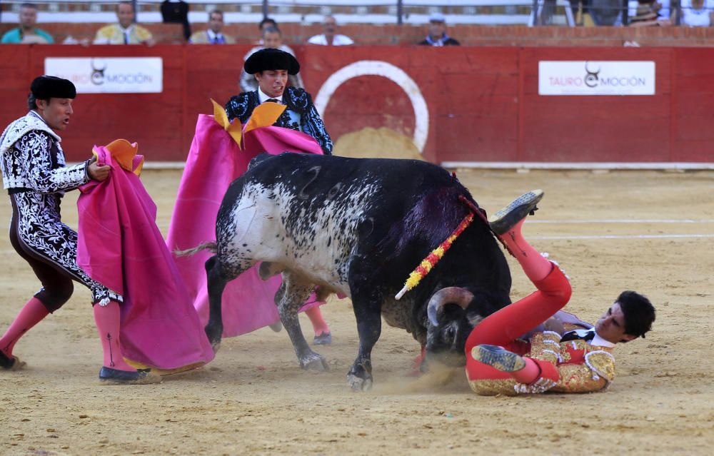 Fallece el torero Víctor Barrio al sufrir una ...