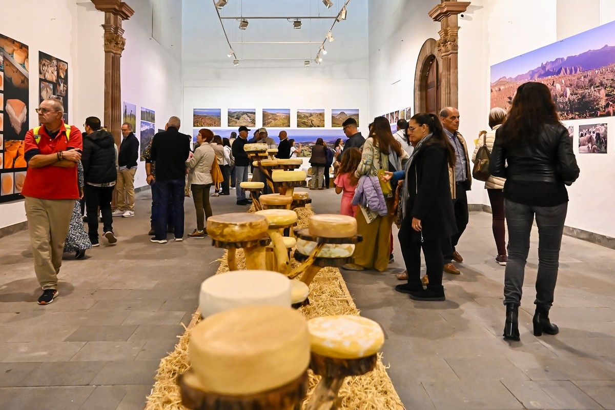 Exposición conjunta "Miradas al Queso"