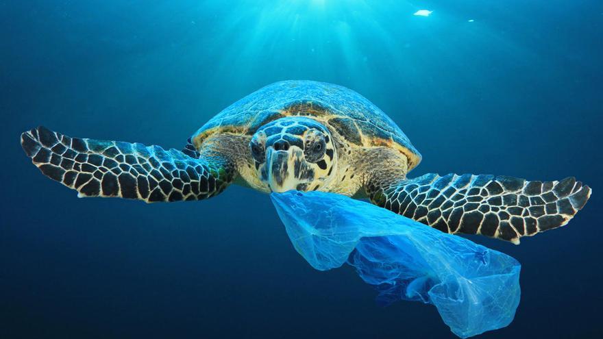 Los vertidos plásticos e industriales suponen una de las grandes amenazas para los océanos.