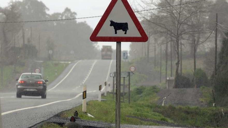 Una señal para pedir precaución ante el posible cruce de ganado en una carretera de Curtis.