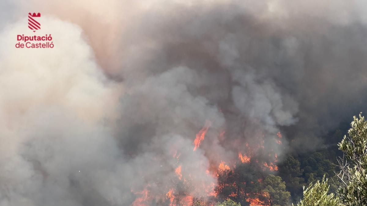 Vídeo: el fuego avanza por la montaña en la Vall
