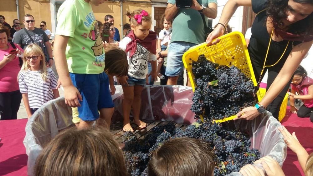 Pequeñas pisadas de la uva en Bullas