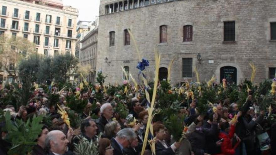 Palmes i palmons a la Catedral de Barcelona