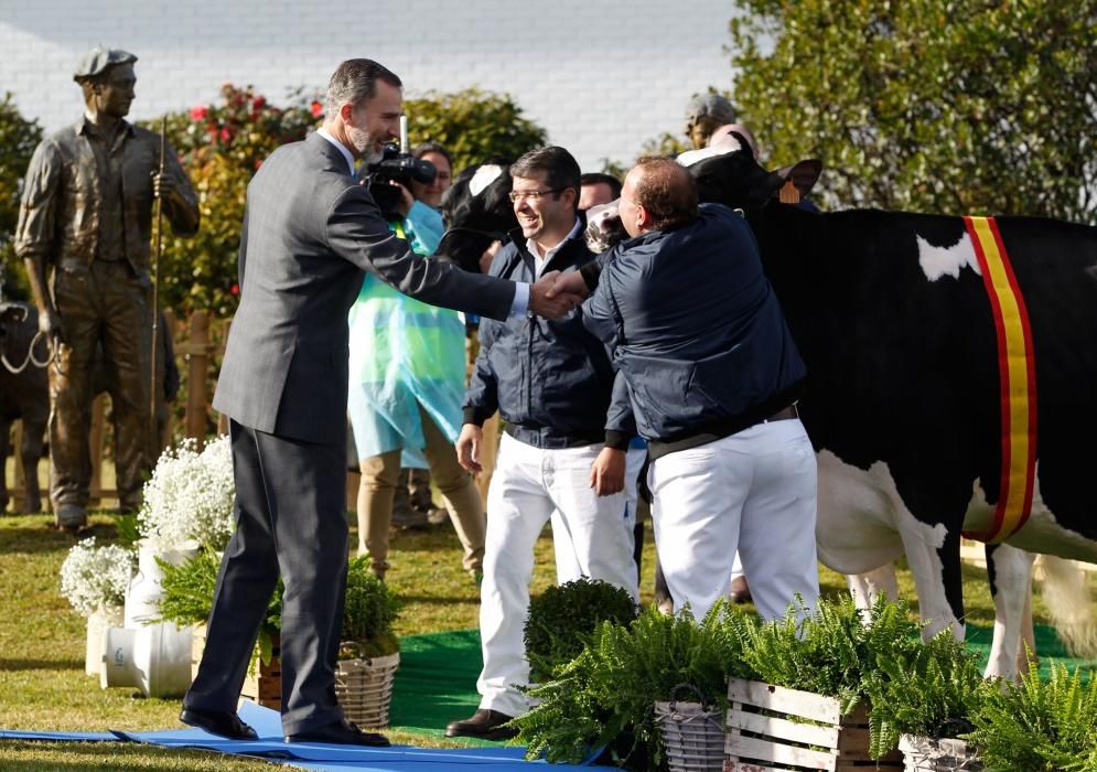 El Rey participa en el 50.º aniversario de Clas