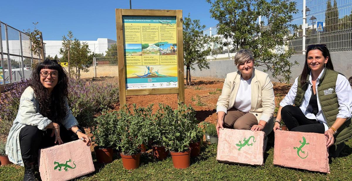 Voluntarios que participan en el proyecto de protección de las largatijas ibicencas.