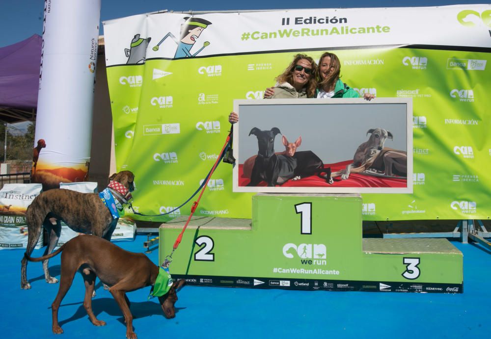 Can We Run: Gran carrera de perros para la concienciación animal