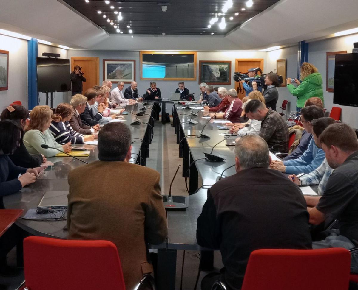 Asistentes a la reunión del Consejo Forestal, ayer, en Oviedo.