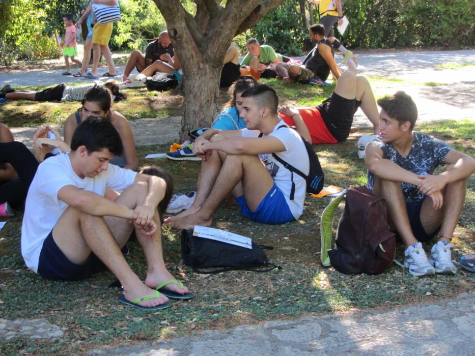 43 edición de la marcha Des Güell a Lluc a peu