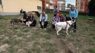 ¿Quieres sacar a tu mascota en Corvera? Esta es la oferta de parques caninos en el concejo