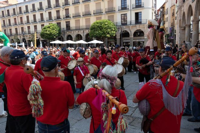 GALERÍA | Zamora vive su último día de fiestas de San Pedro
