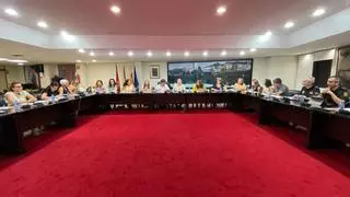 Alzira tiene 151 casos activos de violencia de género: uno de alto riesgo y doce de nivel medio