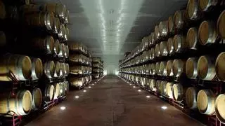 El relevo generacional, la industria y el agua marcan el futuro económico de Utiel-Requena