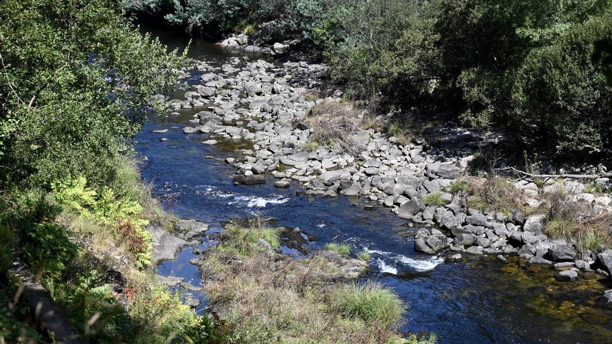 Una vista del río Lérez a su paso por Monte Porreiro.