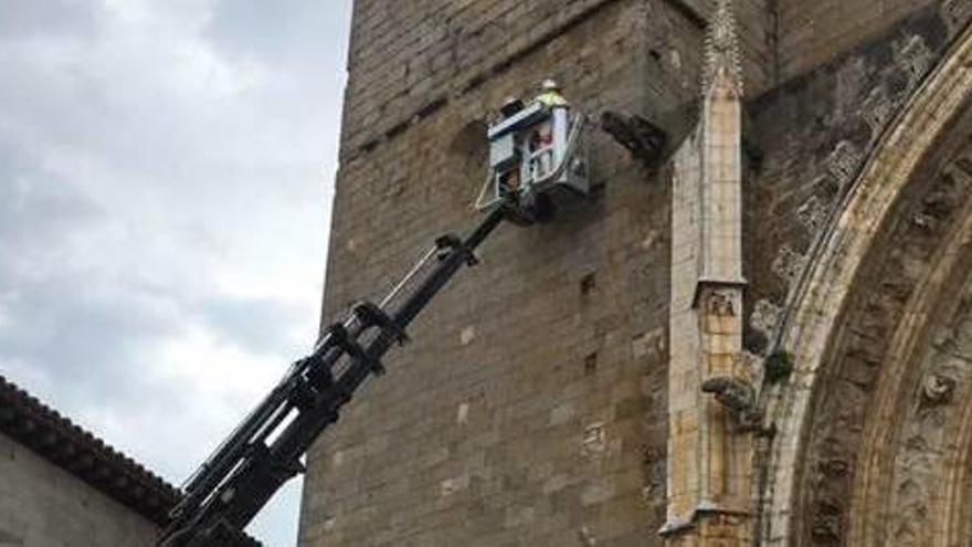 Els treballs a la façana de la basílica per retirar les abelles.