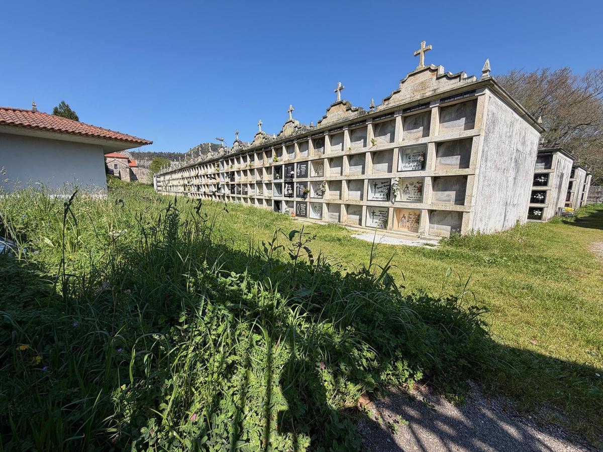 Maleza ocupando espacios comunes del cementerio privado de Darbo, ayer por la tarde.