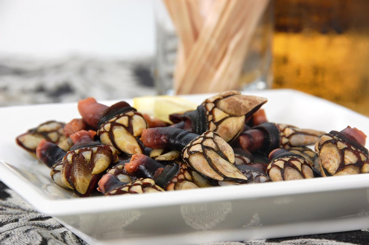 Percebes