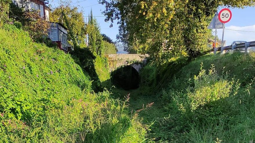 Estado que presenta la antigua vía ferroviaria entre Arcade y Pontevedra, cubierta de maleza. / BNG