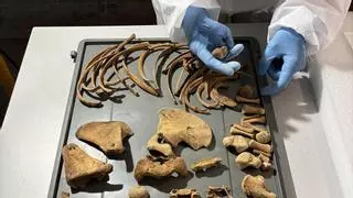 Las tumbas del monasterio de Pedralbes revelan nuevos secretos: la reina Elisenda llegó a septuagenaria y le dolían los huesos