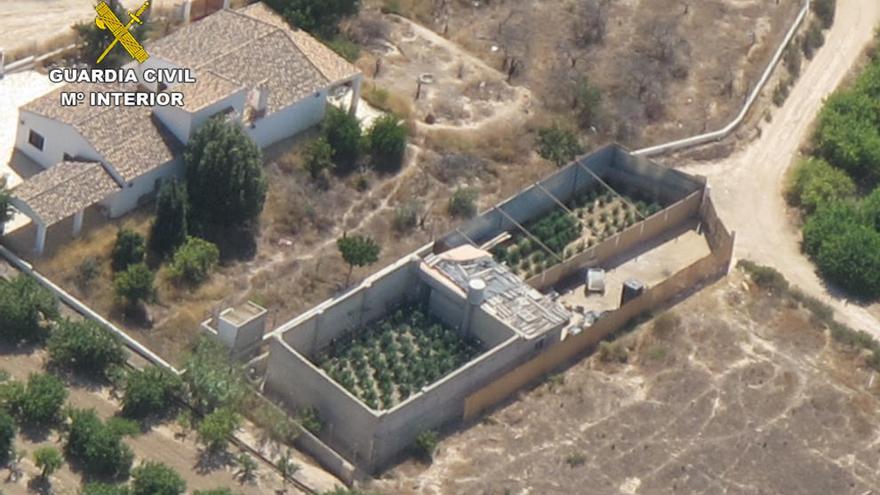 La plantación desde una vista aérea.