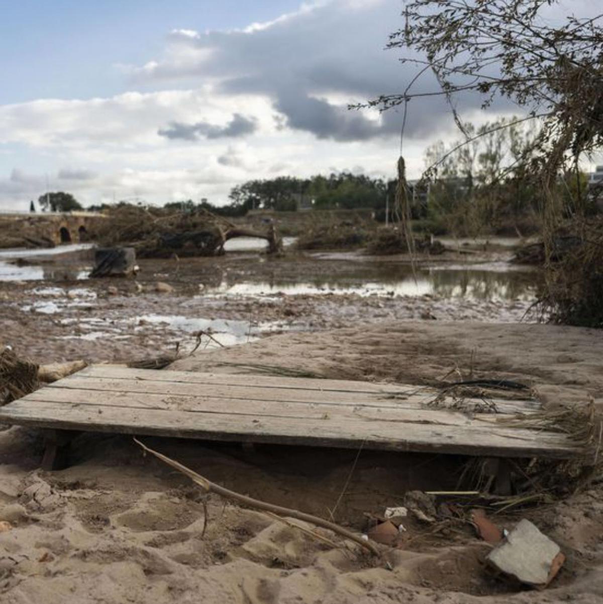 Zarpazo a los escudos climáticos de l’Albufera y el Parc Natural del Túria