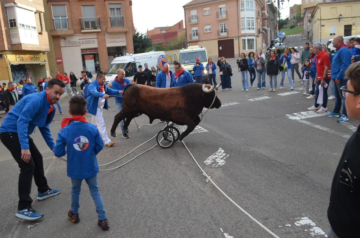 El sábado de La Veguilla de Benavente, en imáganes El sábado de La Veguilla de Benavente, en imáganes