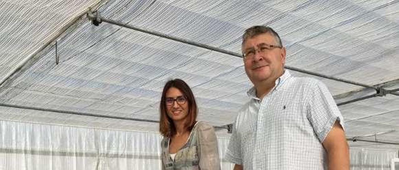 Los investigadores Ana Campa y Juan José Ferreira, del Programa de Genética Vegetal, con avellanas, en las instalaciones del Serida en Villaviciosa.