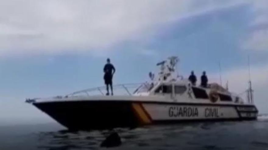 La Guardia Civil avista un tiburón peregrino de más de ocho metros frente a una playa de Granada