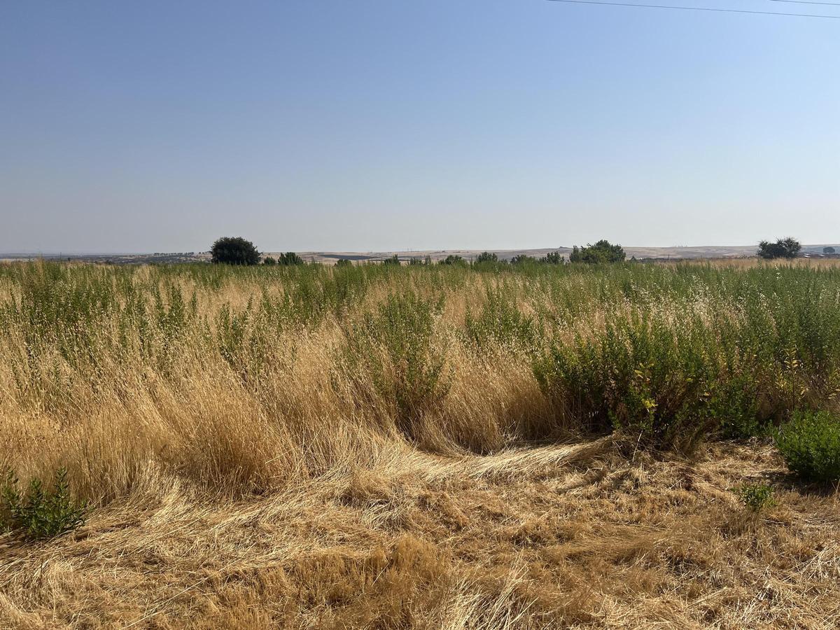 Quejas por el descuido del residencial Gredos, en Cáceres